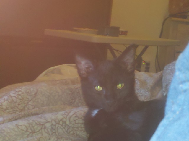 2011-08-07 13-46-51 824