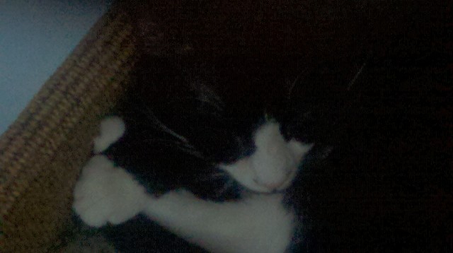 2011-12-16 12-49-36 624