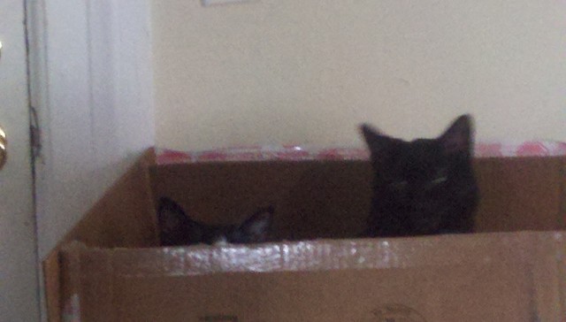 2012-04-11 14-02-32 411