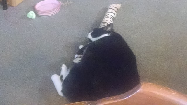 IMG 20161111 154039266