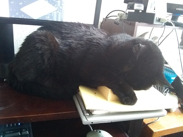 IMG 20180222 160432552